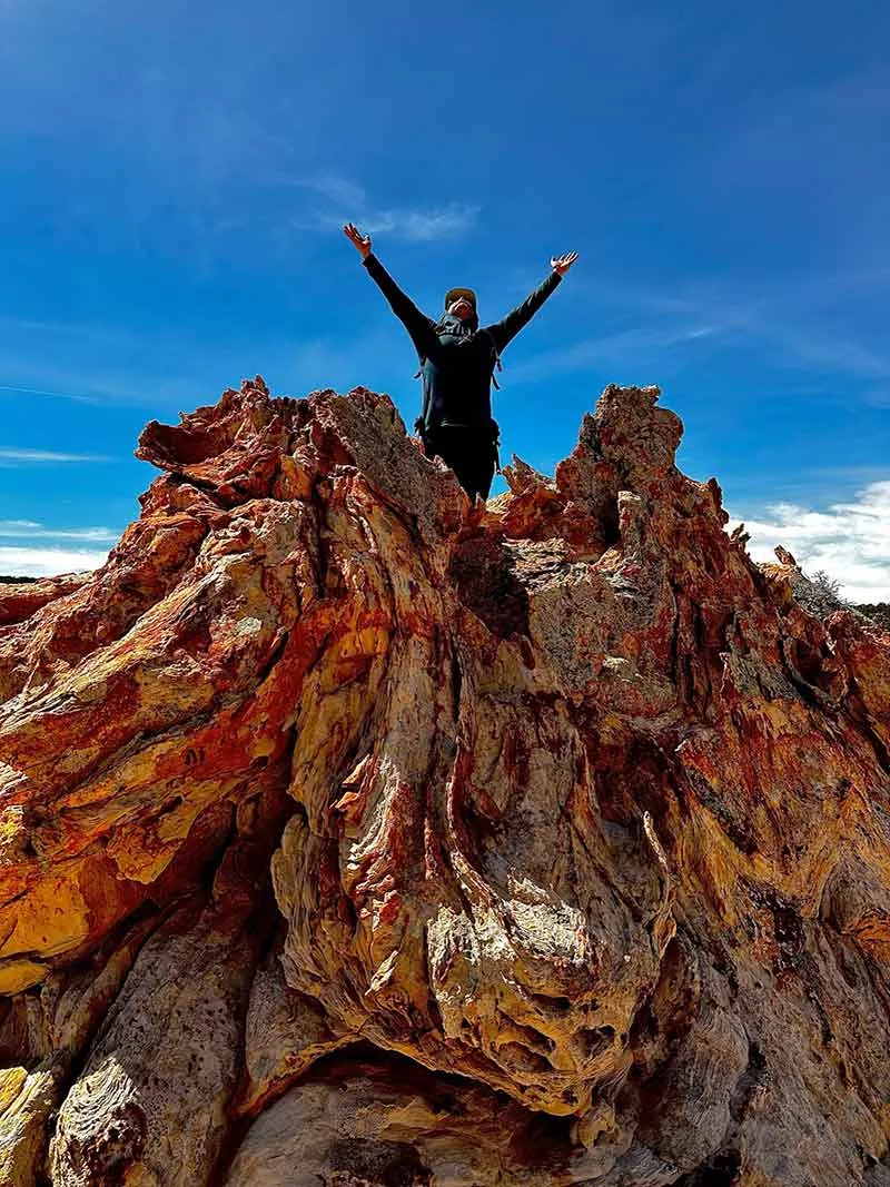 Traveler celebrating atop red rock
