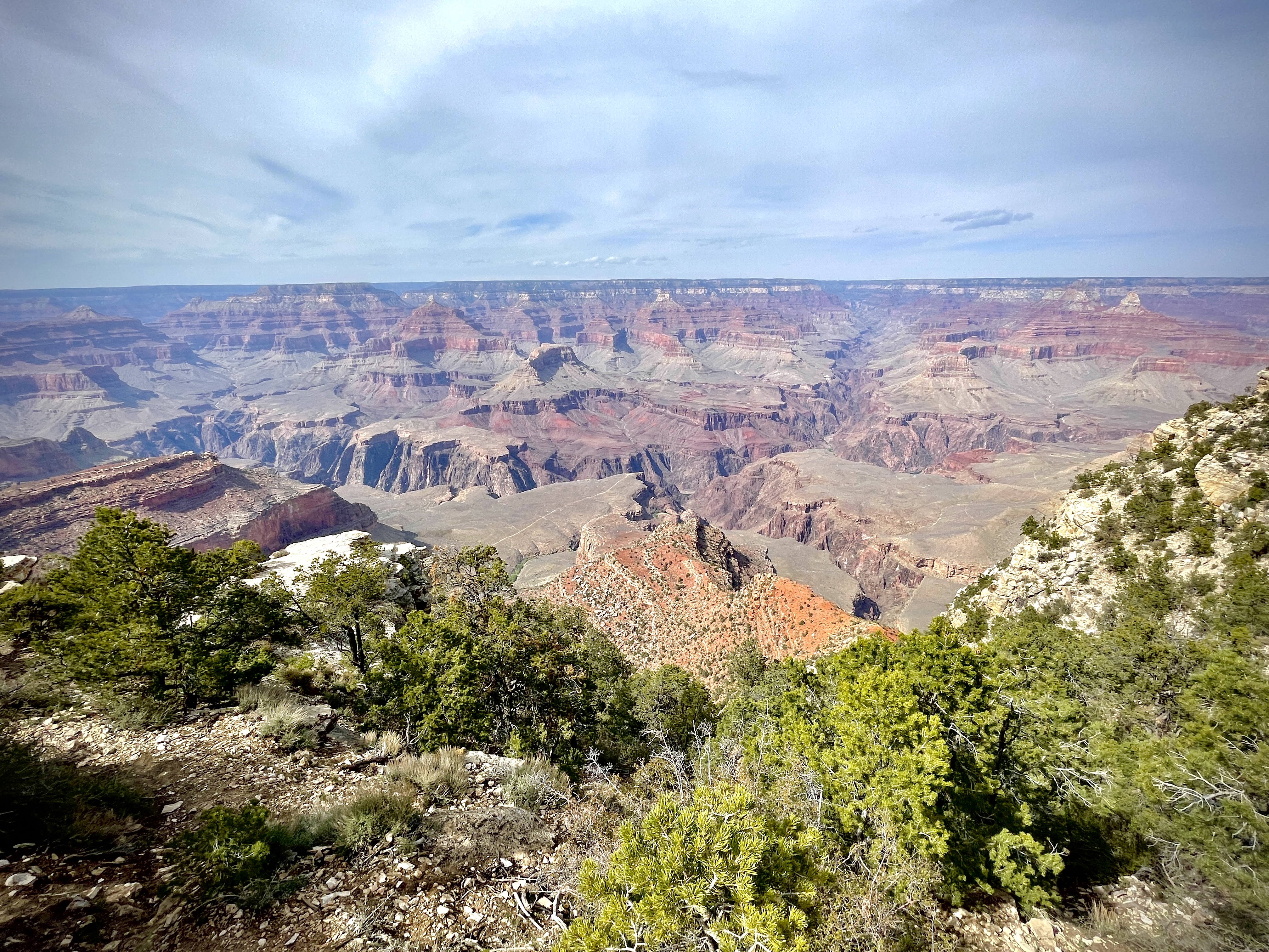 Grand Canyon South Rim Tour from Flagstaff with Optional Helicopter DETOURS