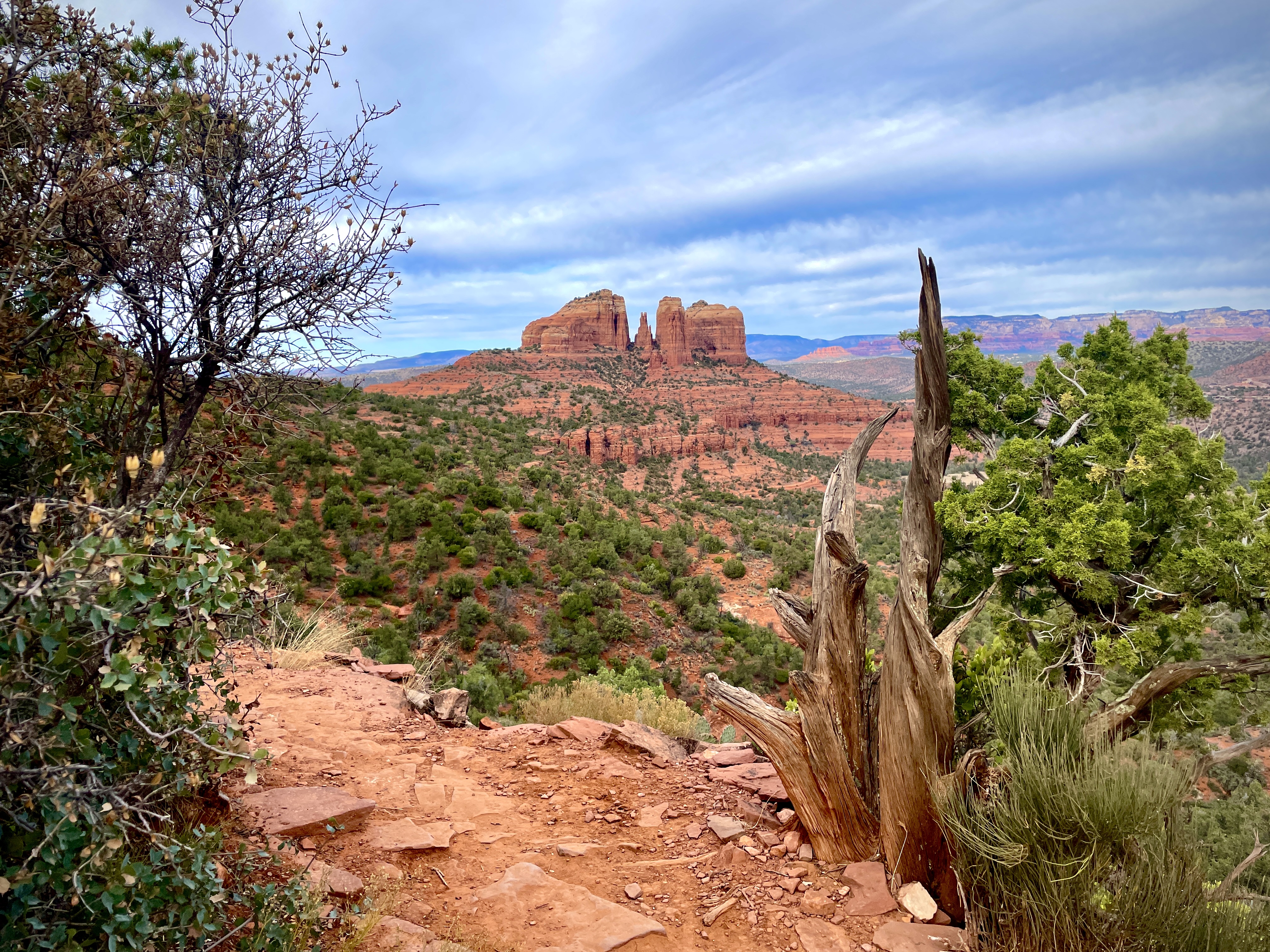 Private Sedona & Verde Valley Wineries Tour from Phoenix & Scottsdale