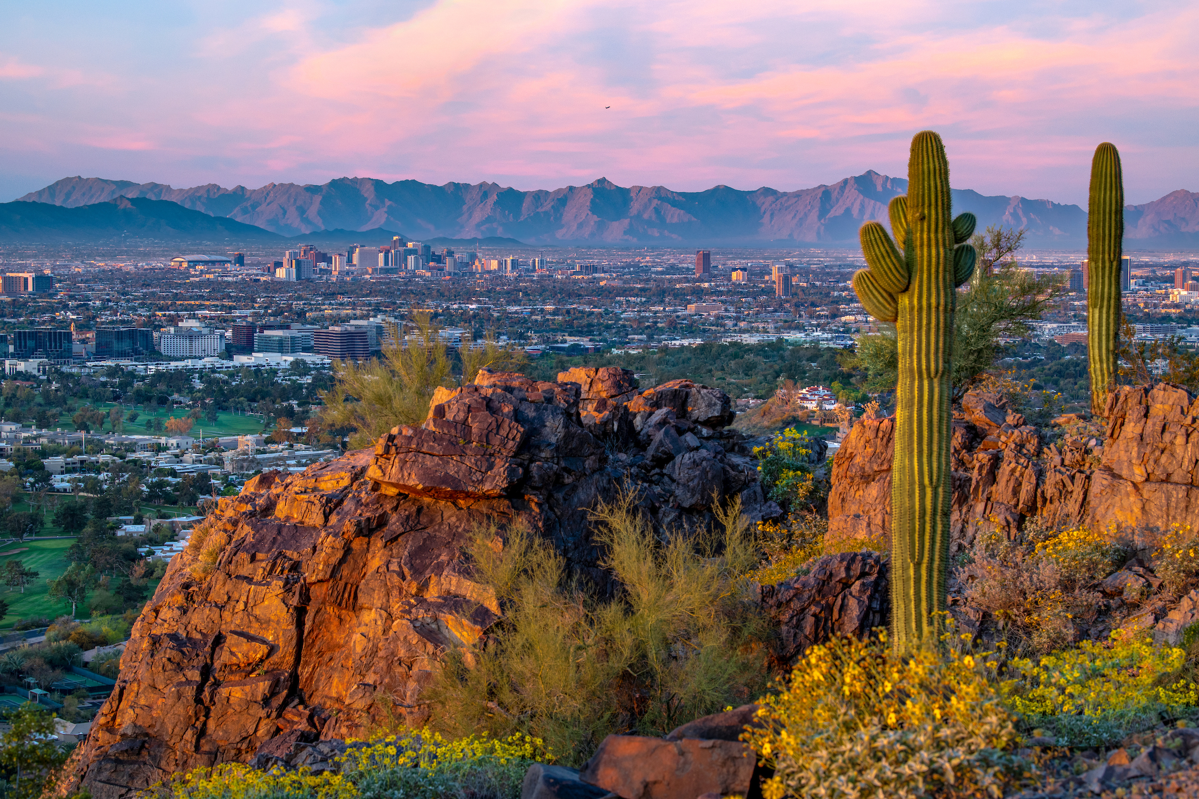 Private Phoenix City Tour Scottsdale - DETOURS - Photo Credit Visit Phoenix by dspaz.com