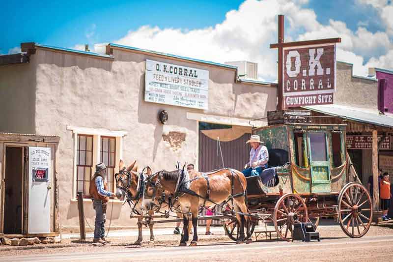 Tombstone O.K. Corral Carriage Horses