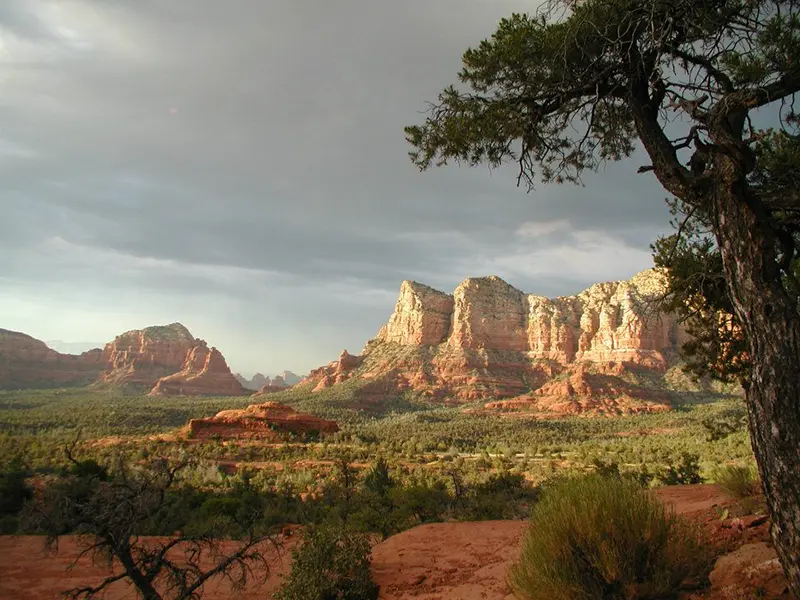 Sedona Arizona DETOURS Tours Red Rocks Trees